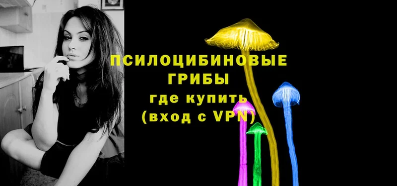 Псилоцибиновые грибы Psilocybe Бавлы